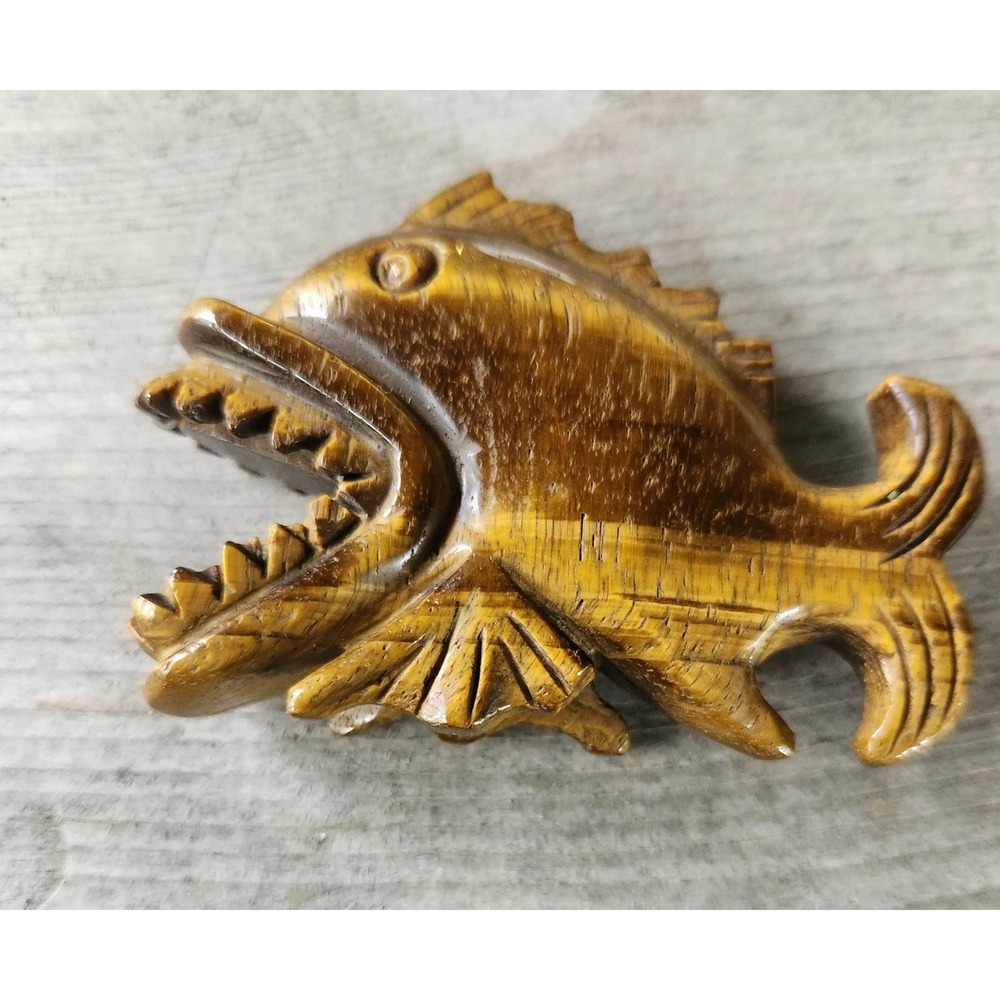 Tiger Eye Piranha Fish, Tigerseye, Fish Art, Fish, Crystal Shop